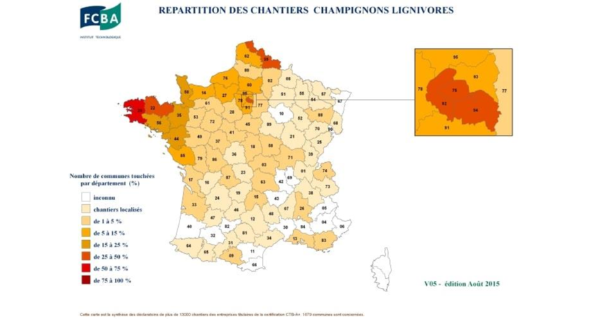 Mérule carte de France de la présence de ce champignon zones à risque habitation infestées